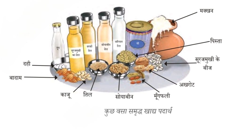 संतुलित आहार वसा के श्रोत